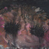 Obraz Josef Bolf Bez názvu, 2007, akryl, tuš, plátno, 18 x 45 cm