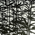 Obraz Pavel Hayek Černé rostliny, 2011, akryl, plátno, 130 x 130 cm