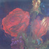Obraz Jakub Špaňhel Červené růže, 2004, akryl, plátno, 125 x 160 cm