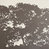 Obraz Pavel Hayek Krajina se stromy, 2005, akryl, plátno, 145 x 145 cm
