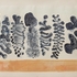 Obraz Oldřich Smutný Les, 70. léta, monotyp, 390 x 610 mm papír, 328 x 498 mm tisk