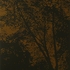 Obraz Pavel Hayek Večerní les, 2007, akryl, plátno, 195 x 150 cm
